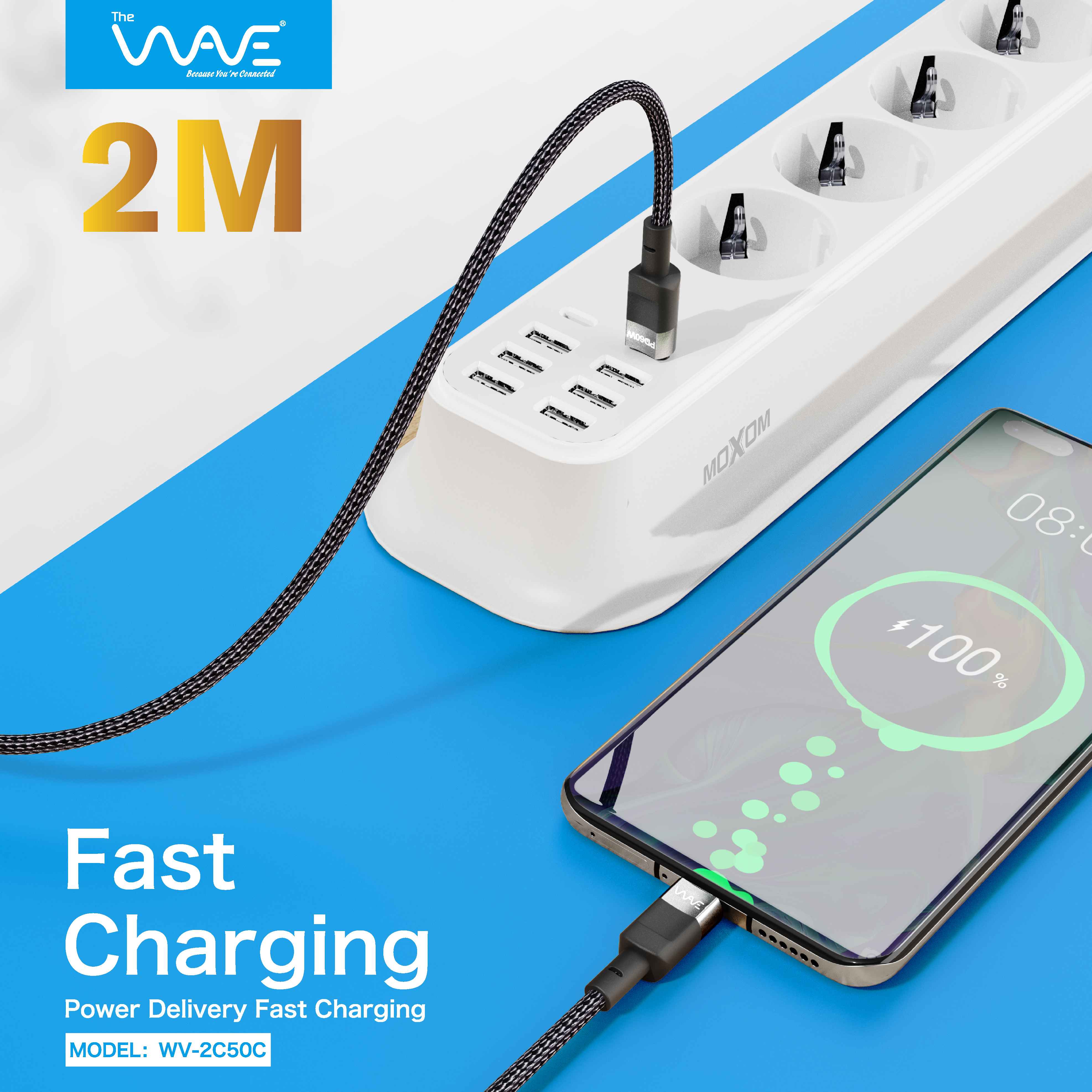 کابل تایپ C به تایپ C ویو مدل WV-2C50C طول ۲ متر با روکش بسیار مقاوم