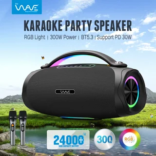 اسپیکر پارتی باکس ویو مدل RDX-2 با دو میکروفون بی‌سیم ۳۰۰ وات SP100